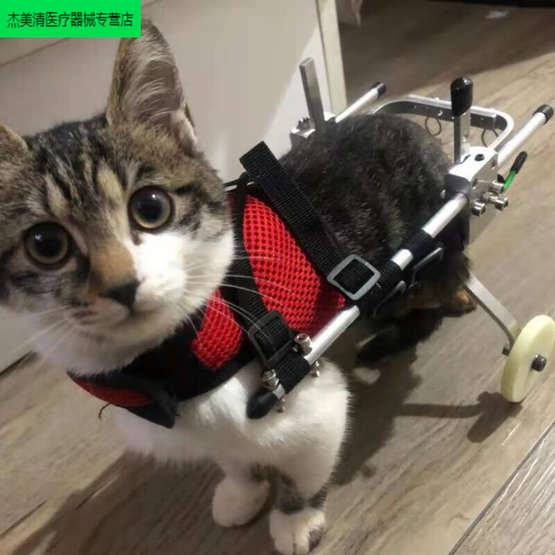 狗狗后腿残疾助力车轮椅 宠物轮椅车猫后肢瘫痪代步车泰迪西施狗 小奶
