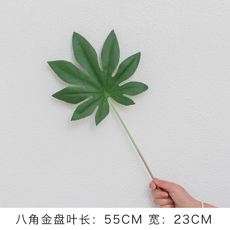 ins透明玻璃花瓶摆件插花客厅干花家居小清新装饰水培花器 八角金盘叶