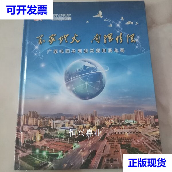【二手9成新】万家灯火 南网情深