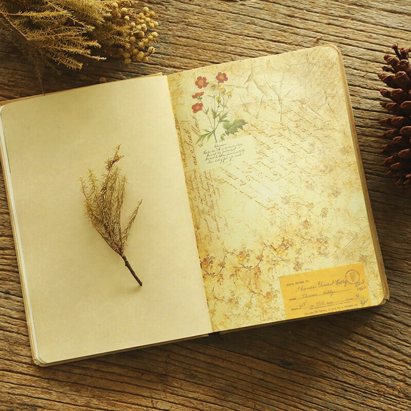 记事本唯美插画牛皮纸笔记本创意手绘彩色内页笔记本子 雕琢时光-咖啡