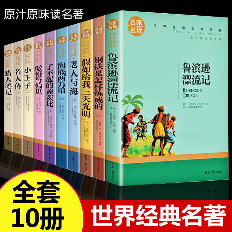 世界十大名著雾都孤儿原著 狄更斯著 中文版小说 正版名家名译 世界