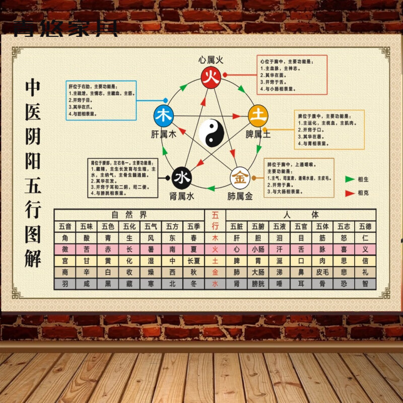 妙普乐中医馆挂画养生子午流注对照表五行知识学习阴阳五行图解贴画