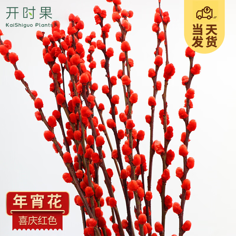 京东直接查看新鲜枝叶价格走势|新鲜枝叶价格走势