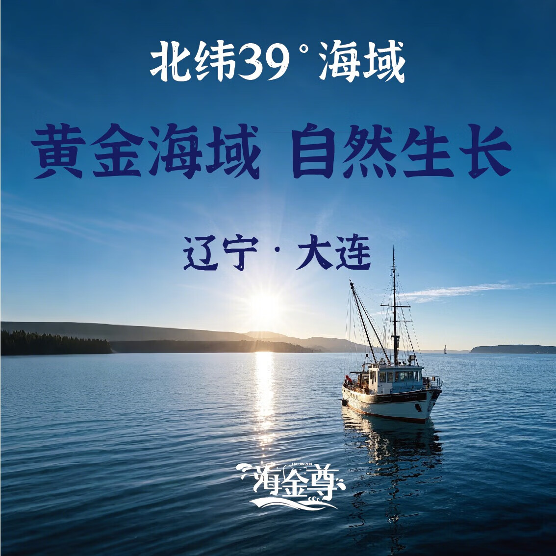 海金尊大连辽参鲜食海参即食海参一斤8-10只一桶辽参 劲道口感500g