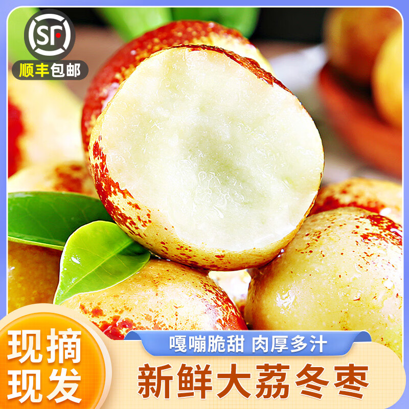 甘福園陜西大荔冬棗新鮮大棗鮮棗當季水果棗子青脆棗牛奶棗順豐包郵 大荔冬棗【3斤】 果王