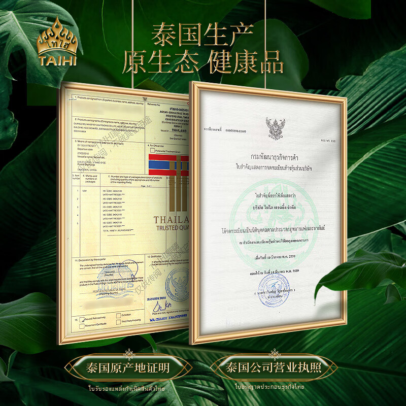 泰嗨（TAIHI） 天然乳胶枕头护颈枕泰国原产进口颈椎枕芯橡胶枕头助睡眠专用 高低平面枕10/12 乳胶枕头