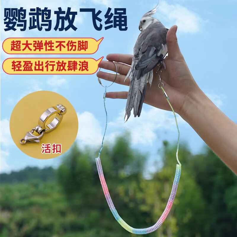 邦可臣鹦鹉放飞绳鹦鹉脚链不伤脚遛鸟绳鸟脚链溜鸟神器鸟链子鹦鹉遛鸟