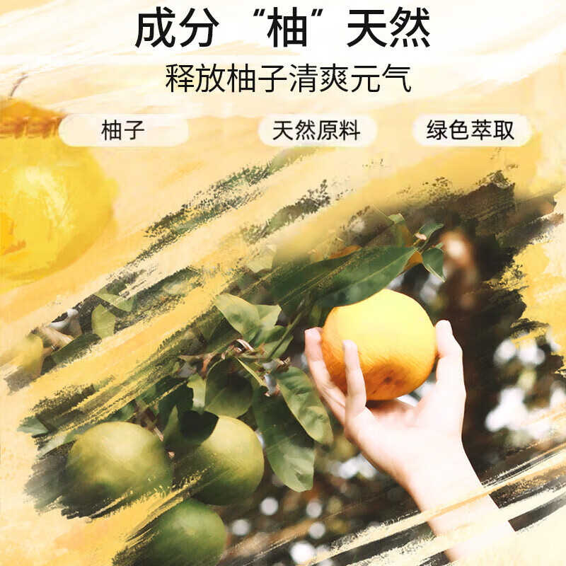 丝蕴洗发水 柚子 无硅油水润顺滑 头皮控油蓬松去屑补水 男女士洗发露 【柚子】净油蓬松洗发水420ml