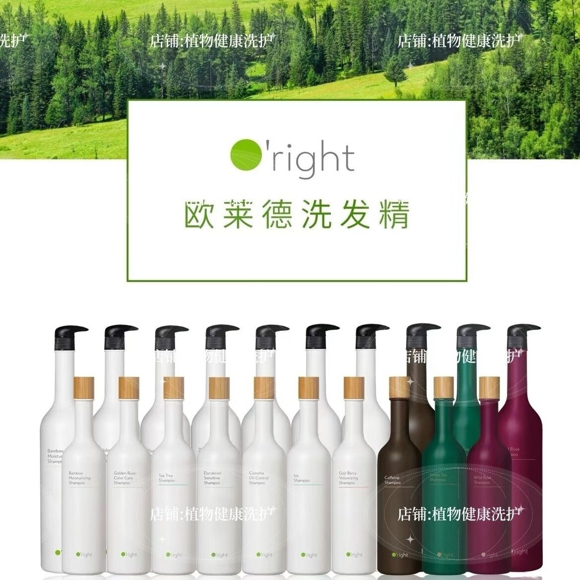 欧莱德台湾欧莱德洗发水1000ml植物天然萃取精华保湿丰盈蓬松控油去屑