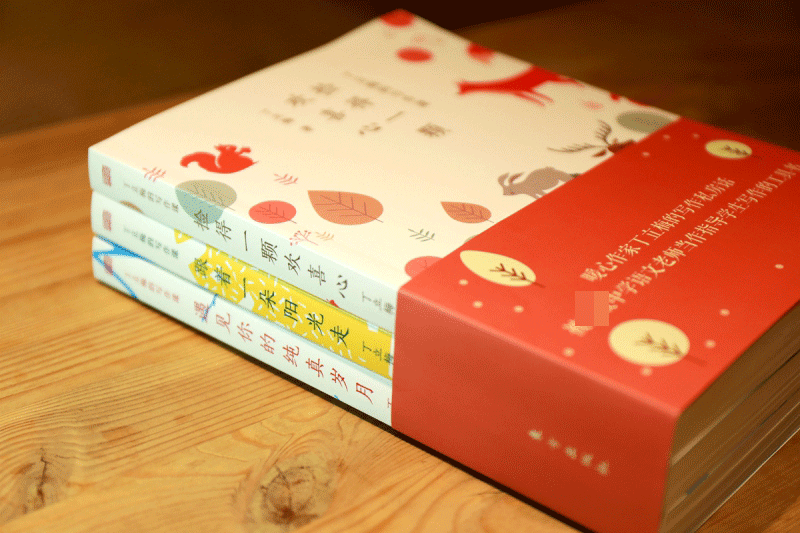 正版 丁立梅的写作课全3册丁立梅散文集 初中中考精选阅读课遇见你的