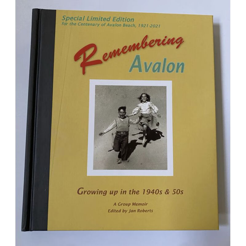 版英文 理想乡回忆录 remembering avalon 回忆阿瓦隆 精装