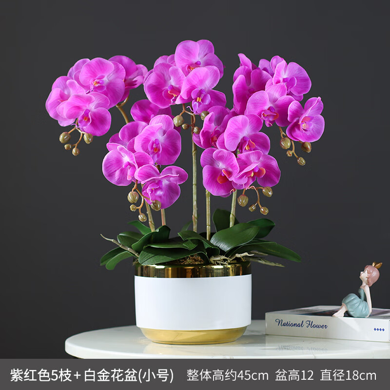 泰錦瑞假花仿真花高仿真蝴蝶蘭3D手感保濕蘭花裝飾家居客廳酒店前臺插花 紫紅色5枝蝴蝶蘭款 -白金盆/單面