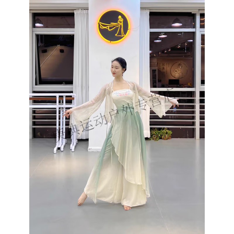 炫逐古典舞服装女飘逸纱衣汉元素舞蹈服练功服舞蹈生中国舞汉服演出服 栀子色单上衣 S