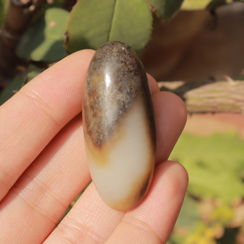 随峰精品和田玉珍稀俏色名品黑金皮三色白玉籽料原石玩料把件