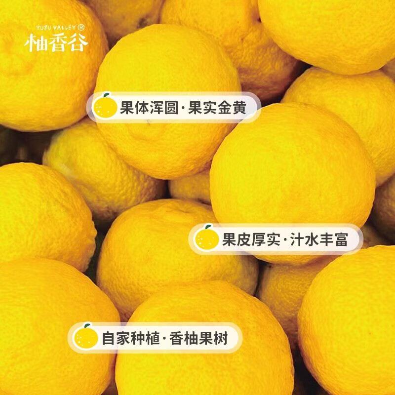 柚香谷宋柚双柚汁复合果汁饮料 胡柚香柚 带皮研磨 富含VC 0脂 罐装 300ml*6罐 罐装