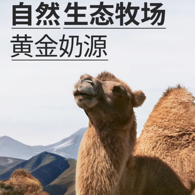 【夺冠驼CBP成长奶粉】夺冠驼倍高奶粉驼乳粉CBP成长奶粉儿童成长驼乳粉助力成长 CBP成长奶粉 2罐呵护装