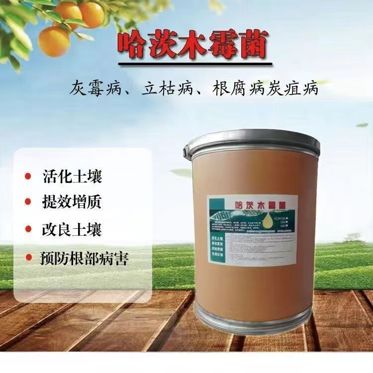 哈茨木霉菌原菌种微生物菌肥果树草莓根腐病灰霉病白粉死苗霜霉病 1