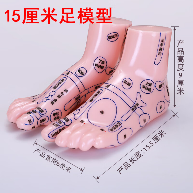 jd健康大号足部穴位模型清晰刻字反射区人体经络器足疗棒脚推拿养 15