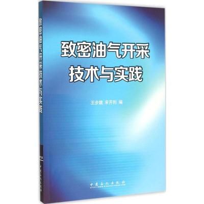 致密油气开采技术与实践 王步娥 宋开利