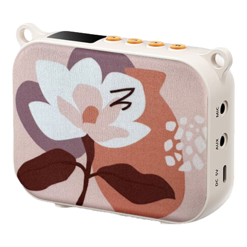 ʤTAKSTARE30С۷ʦרõұЯʽС亰߽˷  °