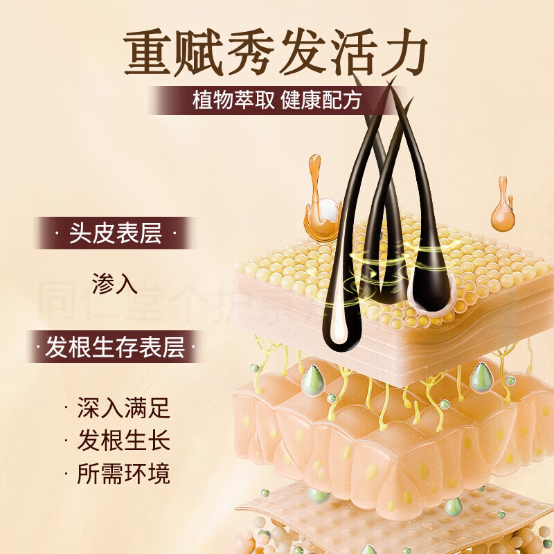 南京同仁堂生姜何首乌洗发水露植物萃取去屑控油止痒个人护理男女士品牌正品 【活动价】1瓶装【500ml/瓶】 【有防伪标志买的放心】