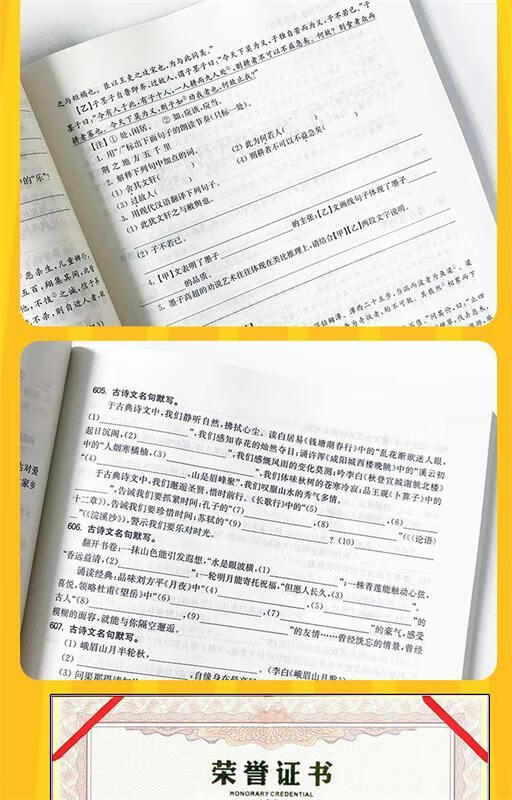 中考语文【正版图书,放心购买】