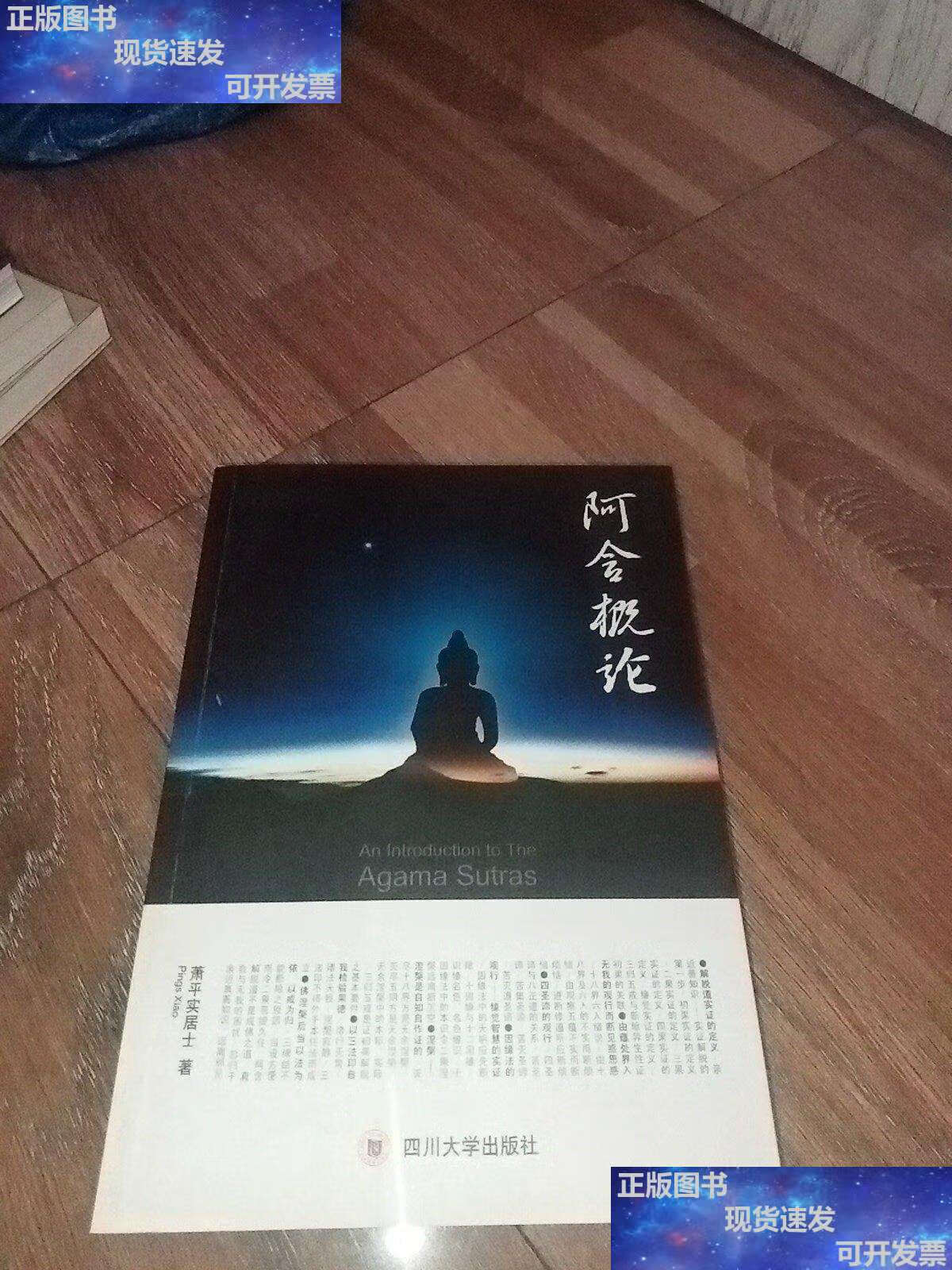 【二手9成新】阿含概论 /萧平实居士 四川大学