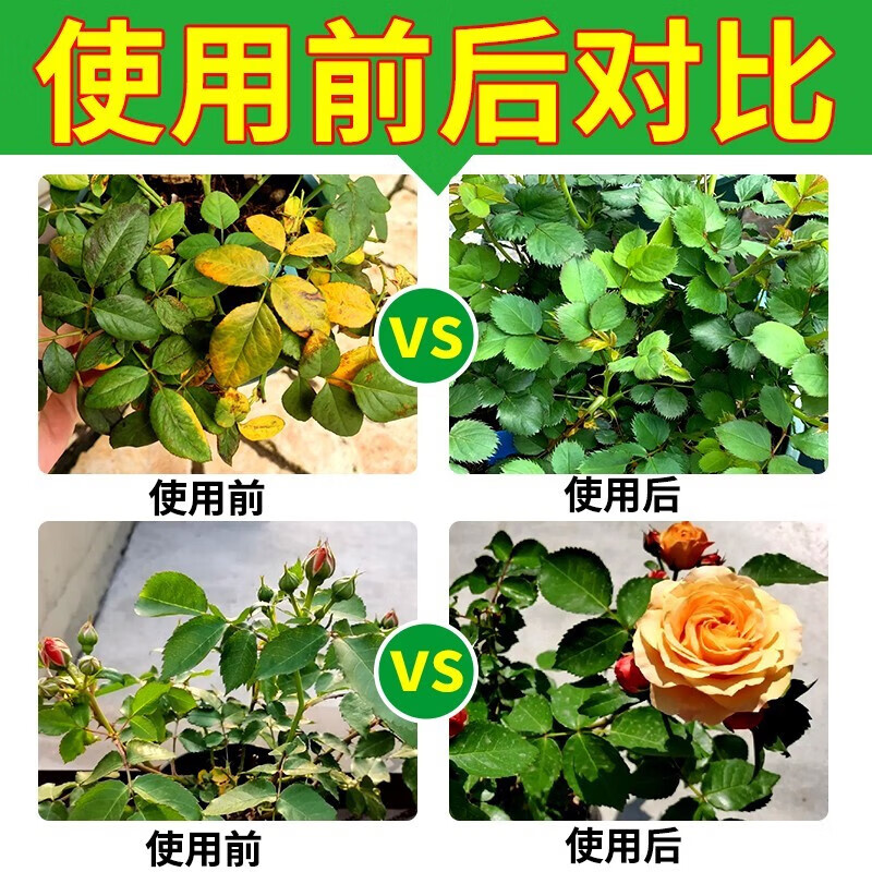 月季花专用黄叶叶子黑斑病枯叶白粉病叶子发黑黄炭疽病专用剂 3瓶装