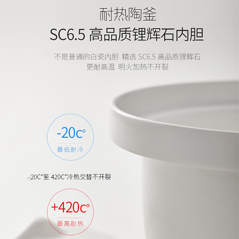 九阳（Joyoung）电炖锅 4.5升容量电煮锅 家用大炖锅 预约定时陶瓷煲 文火煲汤锅 4.5L炖煮锅煲汤锅 大容量电炖锅 4.5L