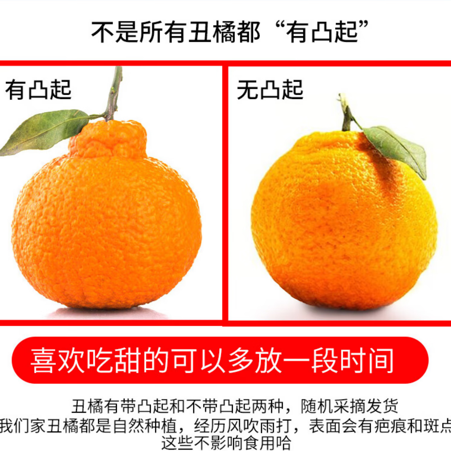 果迎鲜湖北丑橘 5斤 柑橘  新鲜水果 柑橘桔子 生鲜 60-70mm