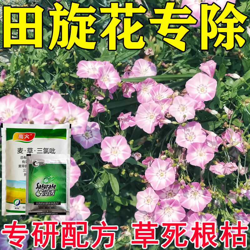 田旋花专杀除草剂牵牛花阔叶藤蔓芦苇杂草通用除草剂死根烂根型 【一套】强效-烂根组合丨送有机硅助剂