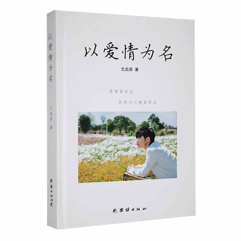以爱为名文启彦团结出版社