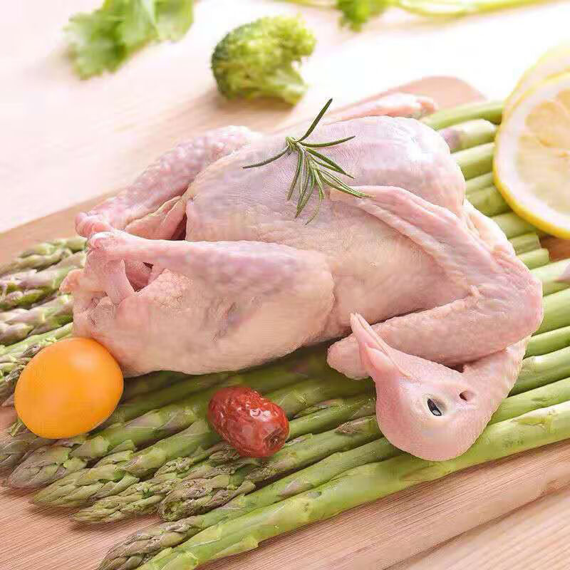 现杀乳鸽新鲜老鸽子杂粮喂养土鸽子农家散养鸽子肉顺丰 乳鸽(单只6-7