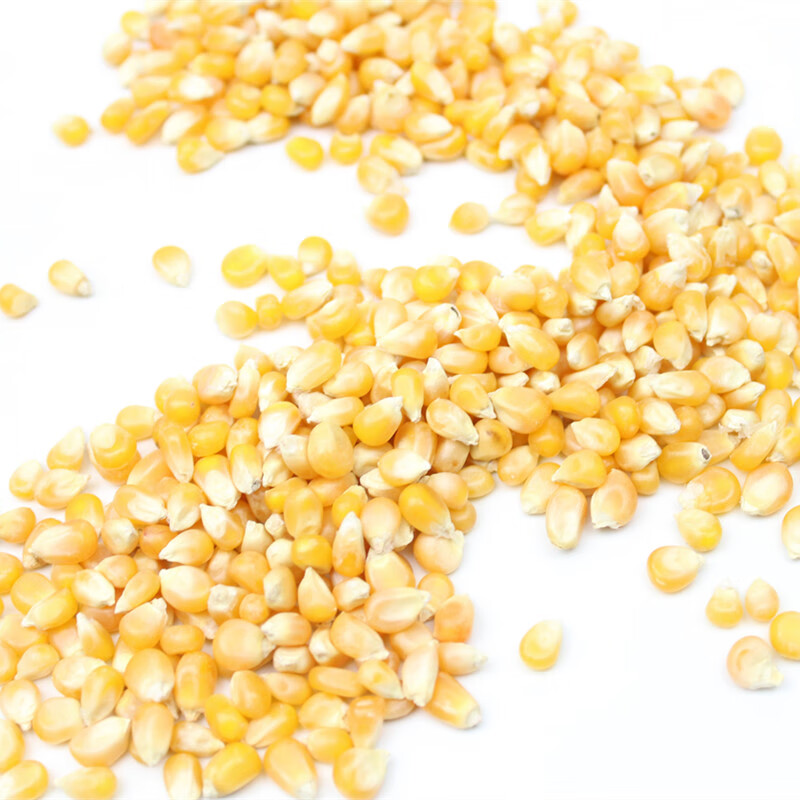 虎钢馋爆米花玉米粒500g 蝶形自制爆花小玉米爆米花原料新货爆裂