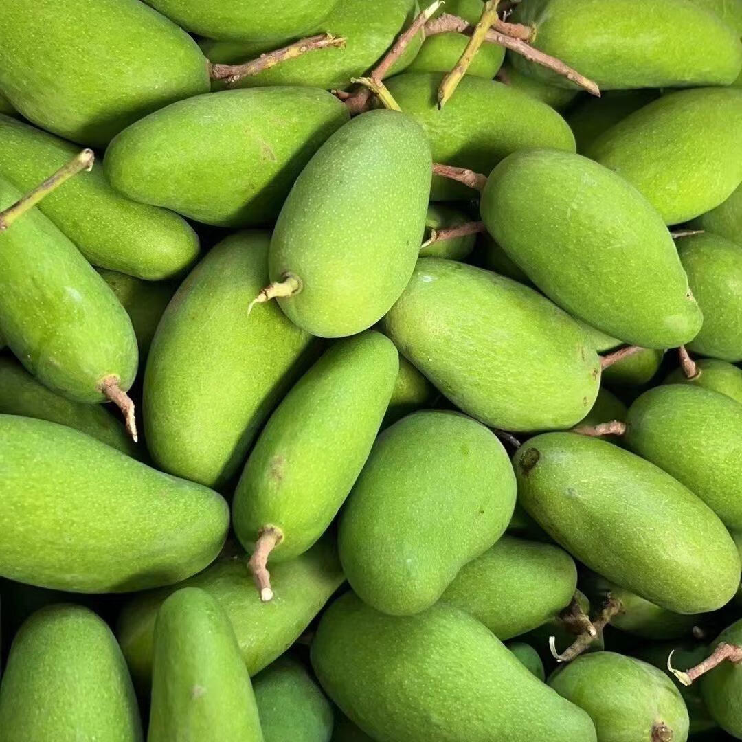 新鲜上市 云南潞江坝酸芒果 小芒果生吃酸脆青芒果 500克 500g 4