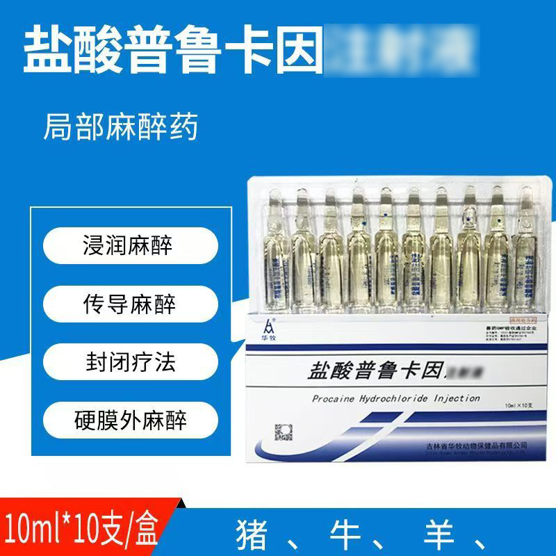 兽药盐酸利多卡因针剂兽用麻醉猪牛羊猫狗宠物手术局麻针 普鲁卡因1盒