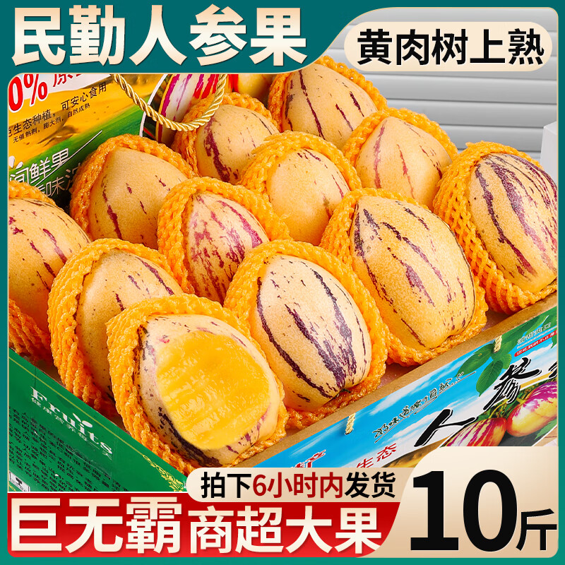 译蒙之味甘肃民勤人参果沙漠人生果黄肉熟果清甜多汁新鲜当季水果长寿果 带箱9.5- 10斤 大果 【单果3-6两】