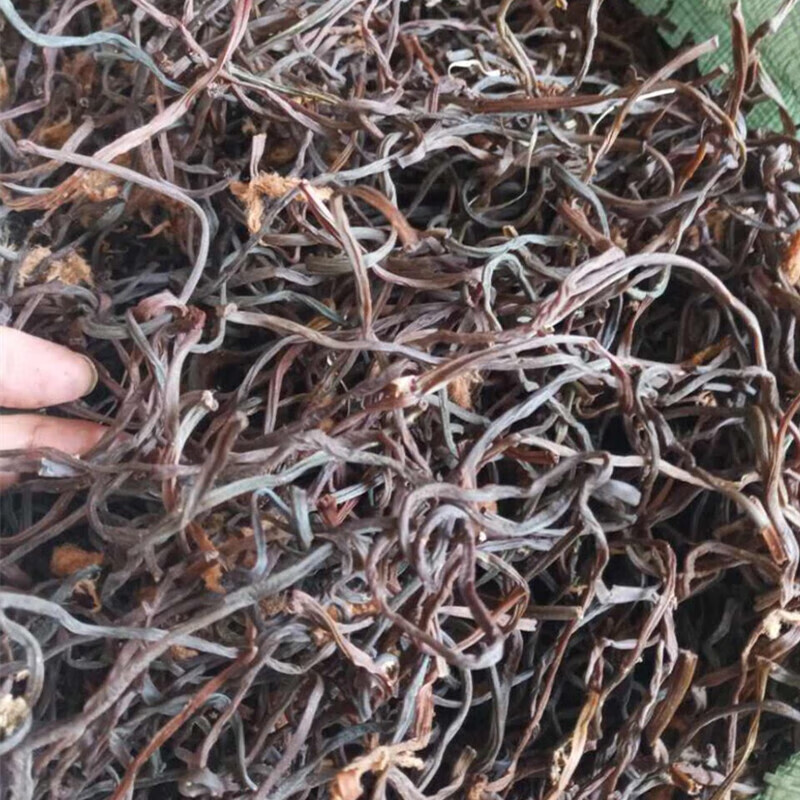 虎钢馋特产农家自晒250克 东北特产微菜山野菜新鲜 薇菜干牛毛广