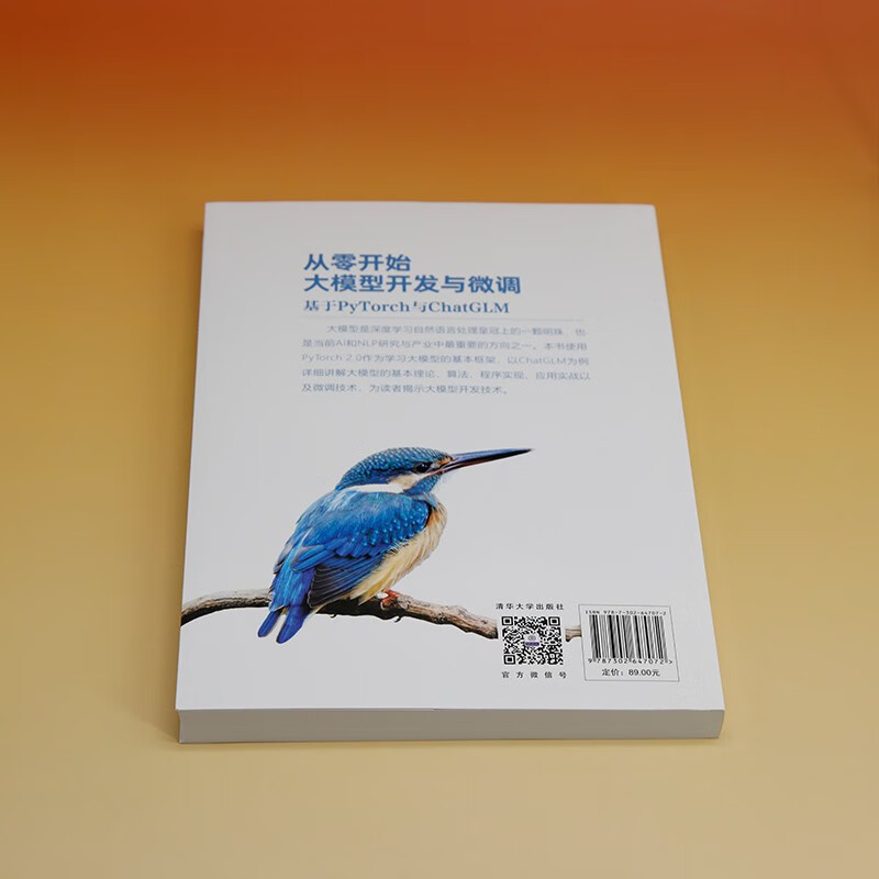 从零开始大模型开发与微调：基于PyTorch与ChatGLM（人工智能技术丛书）