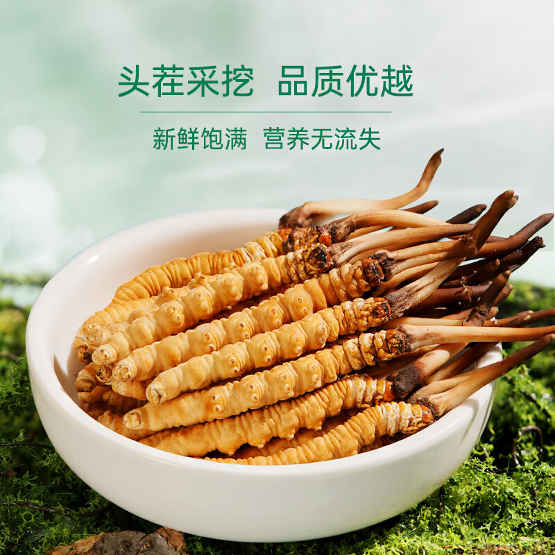 藏汐堂【2026年头茬鲜草】新鲜冬虫夏草 头期鲜虫草 送长辈滋补品 0.8克/条 30条*1盒