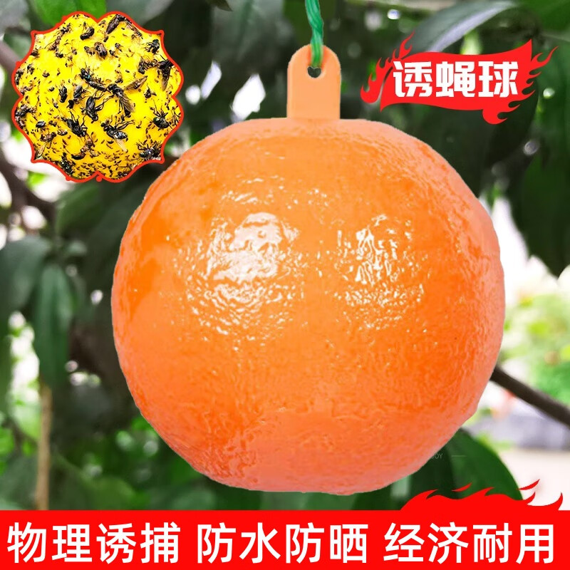 蔬菜粘虫球果蝇诱蝇球丝瓜苦瓜西瓜沾叮咬瓜蛆针蜂苍蝇黄蜂瓜实蝇
