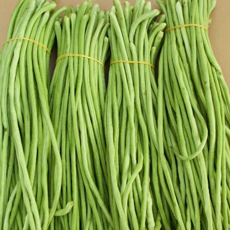当天现摘长豆角新鲜蔬菜3斤嫩豇豆现摘青豆角可腌制酸豆角批发 精选长豆角净重3斤