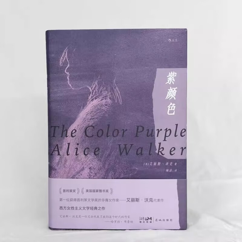 紫颜色 艾丽斯 沃克 著 陶洁 译 西方女性主义文学作品 女性主义电影原著 外国文学小说 书信体小说 花城出版社 新华书店正版书籍