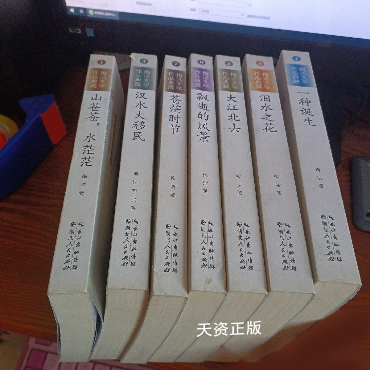 【二手9成新】梅洁文学作品典藏(1-7册)梅洁著 湖北人民出版社