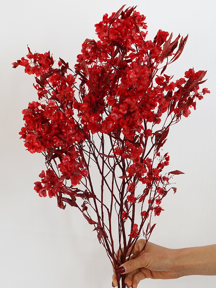 迎客豆年宵花过年插花干花花束客厅摆设婚庆花材高端真花永生花 红色