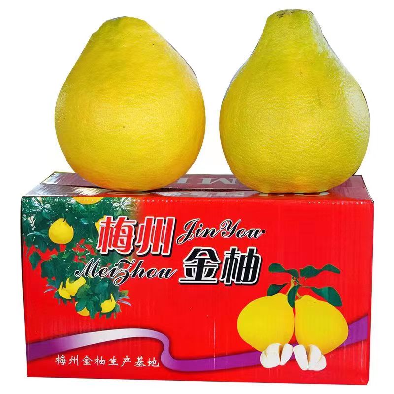 梅州沙田柚子新鲜现发当季水果白柚甜蜜柔嫩多汁柚整箱2个装果 2个中果礼盒装（4.8-5.5斤）