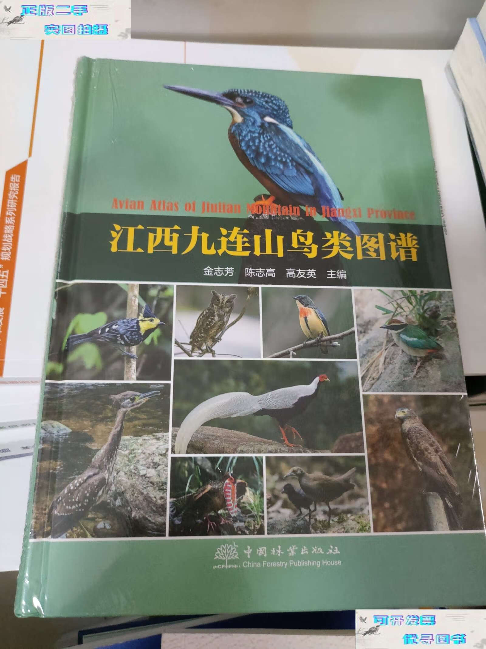 【二手书9成新】江西九连山鸟类图谱(精) /金志芳 中国林业