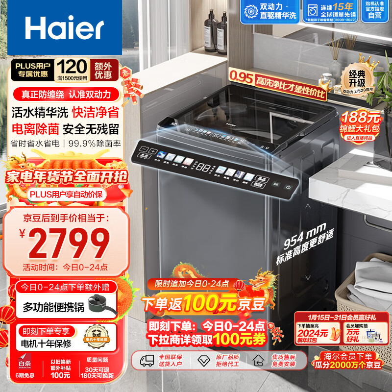 海尔（Haier）波轮洗衣机全自动 高效精华洗 10公斤 双动力防缠绕 直驱变频 羽绒洗 以旧换新ES100B37Mate6