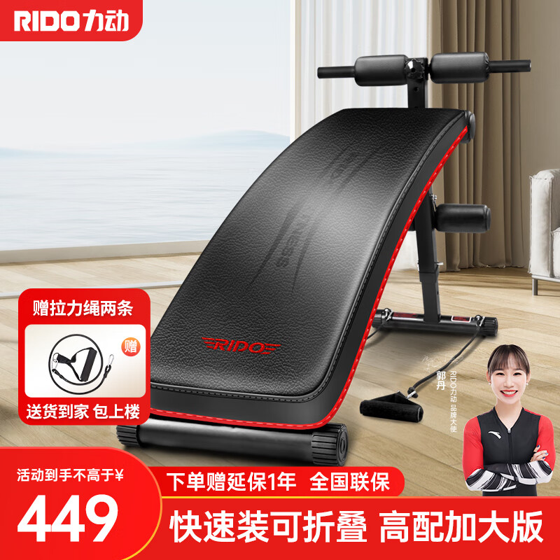 力动（RIDO）仰卧起坐辅助器 健身器材家用 可折叠仰卧板 腹肌器械收腹机TD20