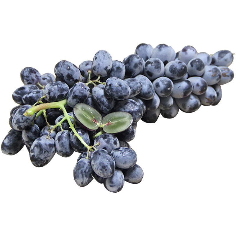 陌好味 黑加仑葡萄黑提 4斤进口提子孕妇新鲜水果生鲜